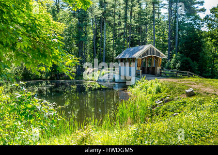 Ein Pratt durch Fachwerk überdachte Fußgängerbrücke an der Wason Erholungsgebiet in Chester, New Hampshire. Stockfoto