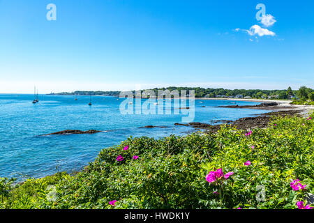 Blick über Simonton Cove vom südlichen Maine Community College Campus in South Portland. Portland Head Light ist in der Ferne. Stockfoto