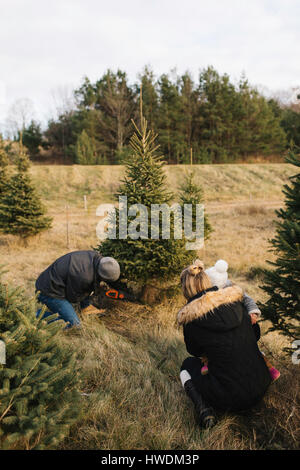 Mutter und Baby gerade Mann Baum in Christmas Tree Farm, Cobourg, Ontario, Kanada Stockfoto