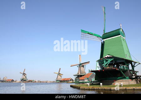 Zaanse Schans, Zaandam, Niederlande. Panorama von 4 Mühlen aus dem 18. Jahrhundert. Von rechts nach links: Gekroonde Poelenburg, De Kat, De Zoeker, Het Jonge Schaap. Stockfoto