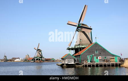 18. Jahrhundert Windmühle De Kat (die Katze), älteste funktionieren Farbstoff Mühle in the World, Zaanse Schans, Zaandijk, Niederlande. Im Hintergrund Het Jonge Schaap Stockfoto