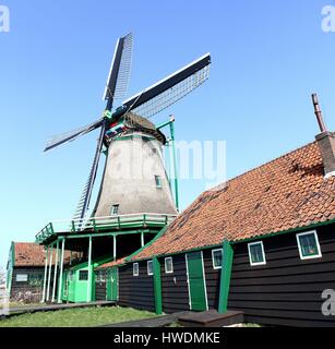 Late17th Jahrhundert Ölmühle De Bonte Henne in Zaanse Schans, Zaandam / Zaandijk, Deutschland (genähte Bild) Stockfoto