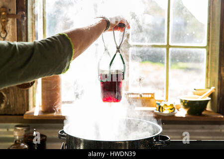 Frauenhand rote Beete Konserven Glas aus dampfenden Topf entfernen Stockfoto