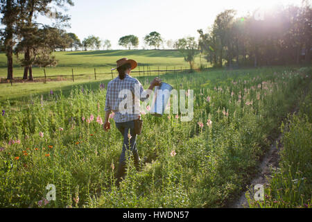 Junge Frau, die Eimer in der Blumenwiese Bauernhof Löwenmäulchen (Antirrhinum) Stockfoto