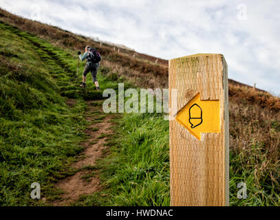 Weibliche Walker auf dem South West Coast Path verhandeln die anstrengende Abschnitt zwischen Hartland Quay und Bude in Cornwall UK Stockfoto