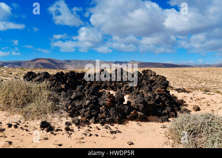 ein Blick auf eine Landschaft im Nordosten von Lanzarote, Kanarische Inseln, Spanien, mit einer charakteristischen Unterstand zum Schutz vor Wind mit Volc gebaut Stockfoto