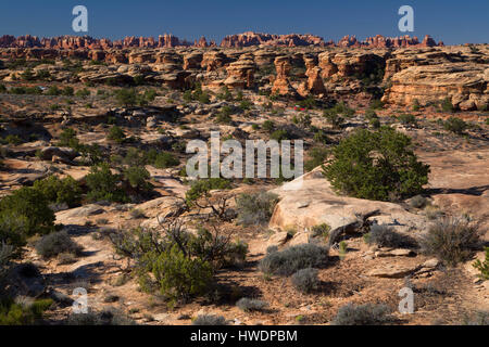 Blick entlang Fuß Slickrock Trail, Canyonlands Nationalpark, Utah Stockfoto