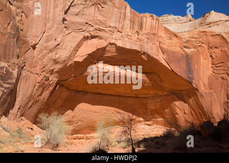 Alkoven im Horseshoe Canyon, Canyonlands National Park-Horseshoe Canyon Einheit, Utah Stockfoto