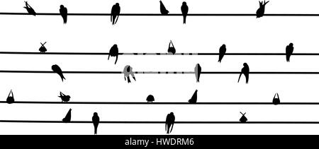 Vektor-Illustration von Schwalbe stieg auf elektrischen Leitungen Stock Vektor