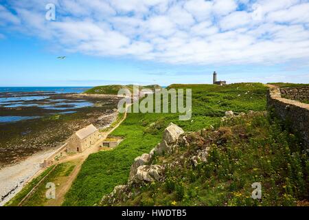 Frankreich, Côtes d ' Armor, Perros Guirec, Sept Iles Archipel und Bird Sanctuary, Ile Aux Moines, ehemalige Kaserne und der Leuchtturm Stockfoto