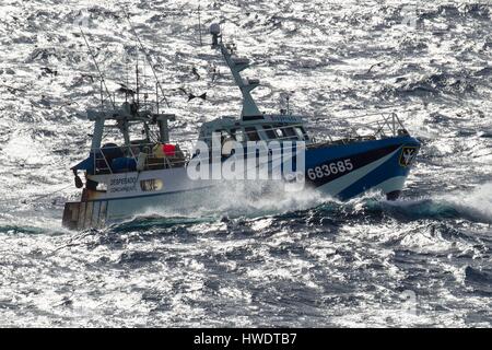 Frankreich, Finistere Concarneau, Trawler in der Hochseefischerei Stockfoto