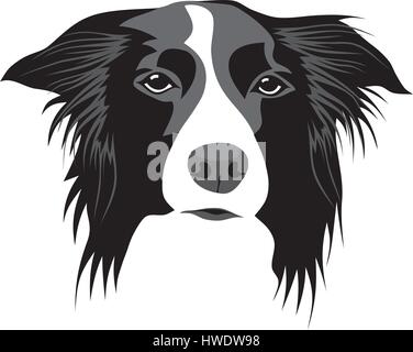 Abstraktes Vektor-Illustration von Border-Collie Kopf Stock Vektor