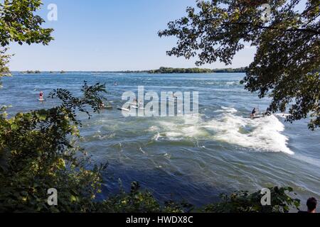 Kanada, in der Provinz Quebec, Montreal, LaSalle, Lachine Stromschnellen, SUP Wanderung, Up Paddle Board auf dem St. Lawrence River Stand Stockfoto