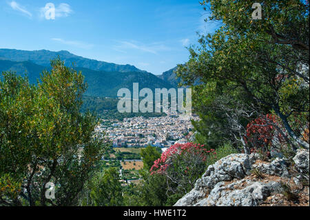 Blick vom Puig de Maria, Pollenca, Mallorca, Balearen, Spanien Stockfoto
