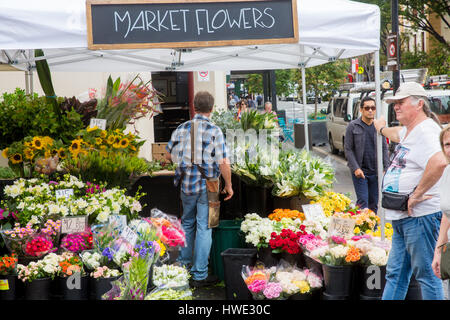 Marktstände auf dem berühmten Rocks Market in der Argyle Street, The Rocks, Sydney, Australien männliche Blumenhändler verkaufen Blumen und Pflanzen Stockfoto