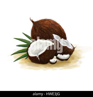 Außenillustration gebrochen und ganze Kokosnüsse mit Blättern Stockfoto