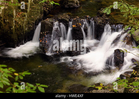 Nahaufnahme Detail von einem kleinen Wasserfall auf dem Fluss Conwy in Betws-y-Coed in Snowdonia Stockfoto