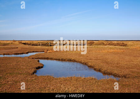 Ein Blick auf Salzwiesen an der North Norfolk Küste Toynbee, Norfolk, England, Vereinigtes Königreich. Stockfoto