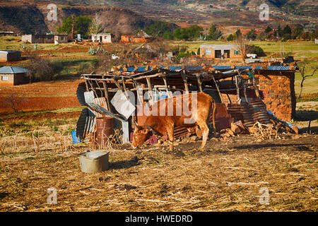 Bewegungsunschärfe in Lesotho Malealea Straßendorf in der Nähe von Berg und Himmel Stockfoto