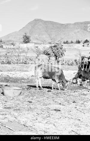 Bewegungsunschärfe in Lesotho Malealea Straßendorf in der Nähe von Berg und Himmel Stockfoto