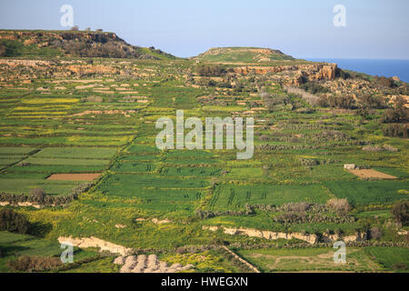 Blick über Gozo Malta Stockfoto