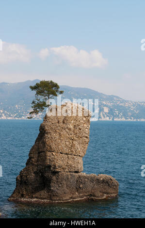 Der Felsen von Cadrega, Rock Stuhl, einem berühmten Felsen mit einer maritimen Kiefer oben an der Küste zwischen Santa Margherita Ligure und Portofino Stockfoto