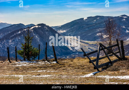 Frühling hat im ländlichen Raum entstanden. Holzzaun und Fichte im landwirtschaftlichen Bereich mit gelben verwitterten Grases. Dorf in der Ferne auf der Hütte Stockfoto