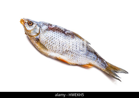 Vobla getrocknete Salzfisch, Isolated on White Stockfoto