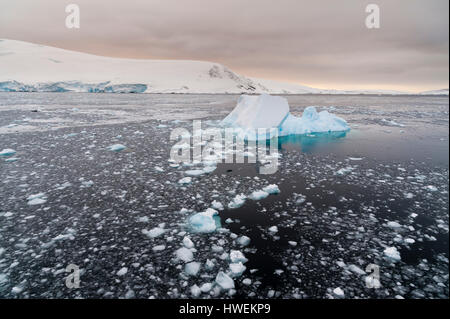 Eisberge in Lemaire-Kanal, Antarktis Stockfoto