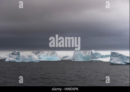 Eisberge unter Gewitterhimmel, Lemaire-Kanal, Antarktis Stockfoto