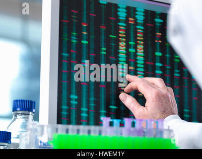 DNA-Forschung, Wissenschaftler betrachten DNA Testergebnisse auf einem Computerbildschirm im Labor mit einem Tablett mit Proben im Vordergrund Stockfoto
