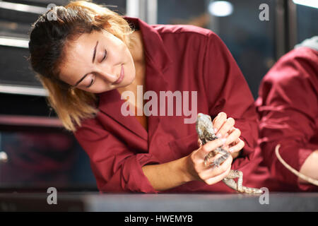 Studentinnen, die Handhabung Krause-necked Eidechse im Labor Stockfoto