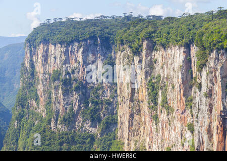 Itaimbezinho Canyon, Cambara do Sul, Rio Grande do Sul, Brasilien Stockfoto