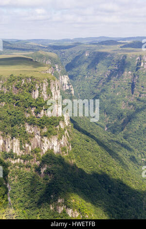 Klippen am Fortaleza Canyon, Cambara do Sul, Rio Grande do Sul, Brasilien Stockfoto