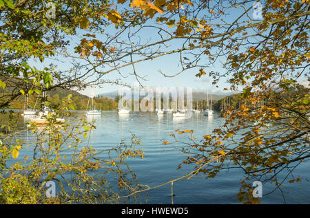 Segelboote auf Windermere See von Ferry Nab, Bowness-on-Windermere Stockfoto