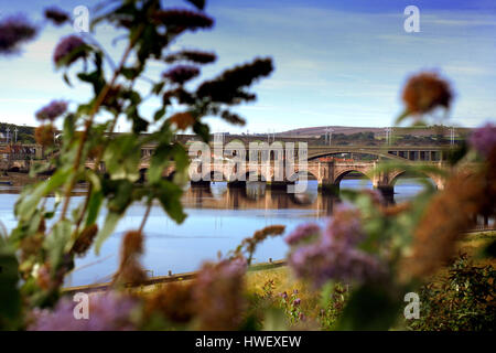 Brücken über dem Fluss Tweed, Berwick Stockfoto