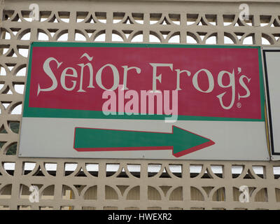 Melden Sie das Logo und die Richtung für Señor Frogs Restaurant am St. Thomas Kreuzfahrt Schiff Hafen, Jungferninseln (US) Stockfoto