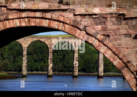 Brücken über den Tweed, Berwick-upon-Tweed, Northumberland Stockfoto