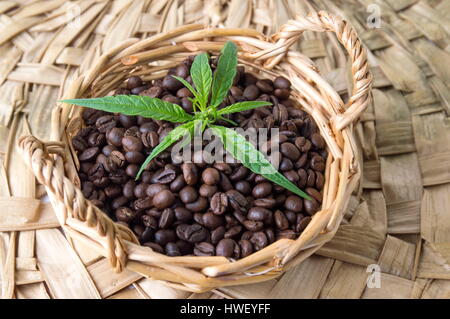 Marihuana und gerösteten Kaffeebohnen in einem Korb Stockfoto