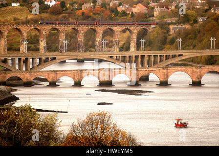 Brücken über dem Fluss Tweed, Berwick-upon-Tweed Stockfoto