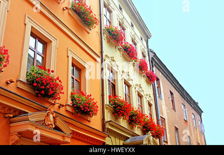 Teil beherbergt alte verzierte Blumen im historischen Stadtzentrum, Lemberg, Ukraine Stockfoto