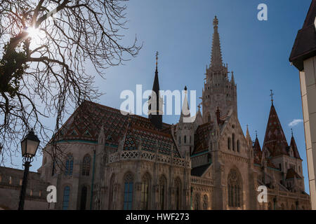 Matyas Kirche, Szentháromság Té, Várhegy, Budapest, Ungarn Stockfoto