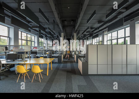 Coworking in einem Loft-Stil mit großen Fenstern, graue Wände, Betonstützen und einen Teppich auf dem Boden. Es gibt viele Arbeitsplätze mit Computern und erfüllt Stockfoto