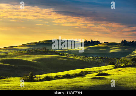 Tuscany Frühling, sanften Hügeln am Sonnenuntergang. Landschaft im ländlichen Raum. Grüne Wiesen und Ackerland. Volterra, Italien, Europa Stockfoto