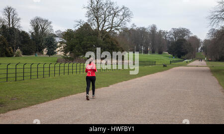 Ein Weibchen Joggen in Hardwick Park,Sedgefield,Co.Durham, England, UK Stockfoto