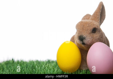 Osterhase mit zwei bemalten Ostereier auf weißem Hintergrund mit Textfreiraum Stockfoto