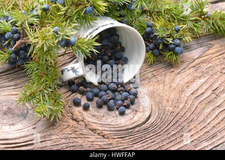 Wacholderbeeren auf Vintage Holz-Hintergrund Stockfoto