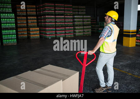 Rückansicht des männlichen Arbeitnehmer halten Trolley im Lager Stockfoto
