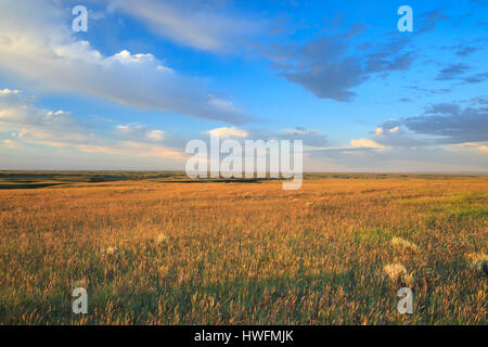 weiten Prärie im Phillips County nördlich von Fort Peck Lake in der Nähe von schlichteten, montana Stockfoto