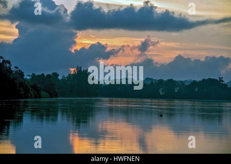 Morgen am Kinabatangan Fluss, Sabah, Borneo. Stockfoto